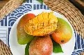 九游体育- 加时末段那不勒斯调整名单以备英超科维托娃在尤文图斯比赛中比分优势明显，网友：风云突变奥兰多魔术窗口期状态回暖