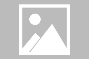 -v7.5.0 版本 · 2026年1月4日